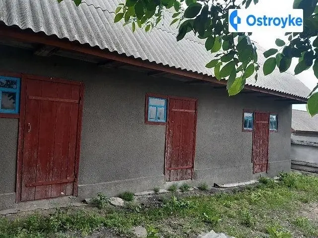 Садова — фото 3