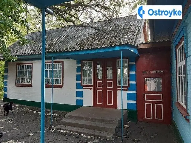 Садова — фото 2