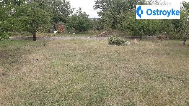 СТ "Прогресс 3" — фото 4