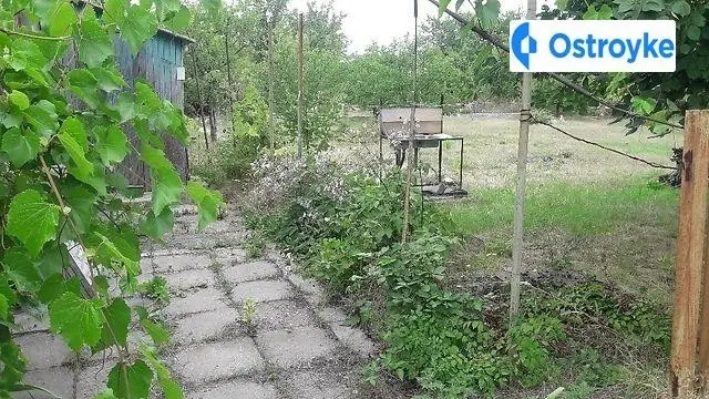 СТ "Прогресс 3" — фото 3