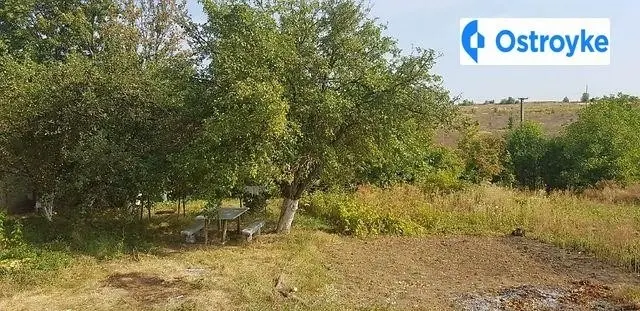 Ходорівська — фото 2