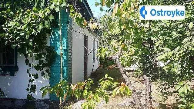 Красина улица — фото 5