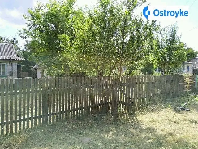 Островского улица — фото 4