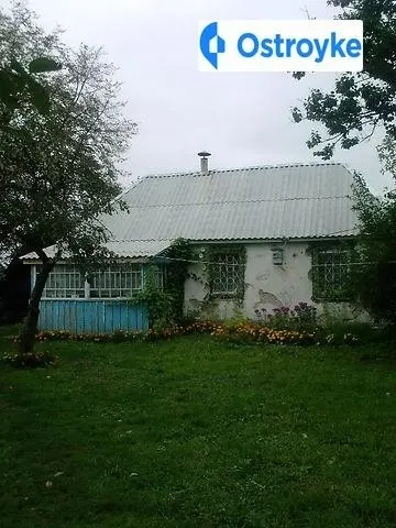 Голиевка — фото 1