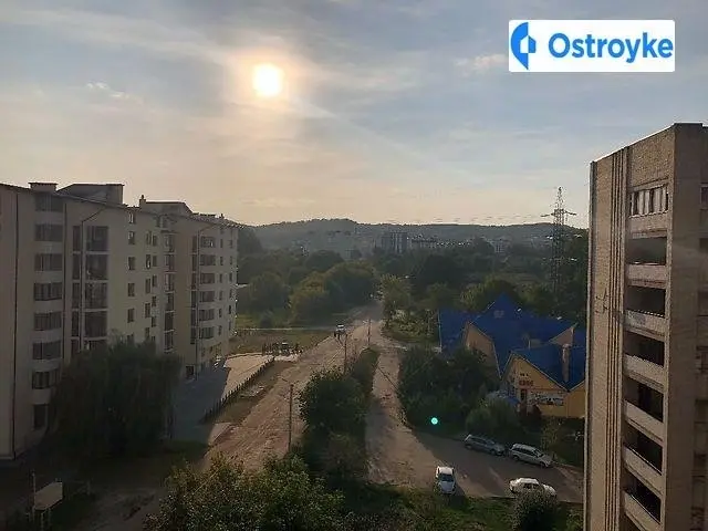 Лысика — фото 2