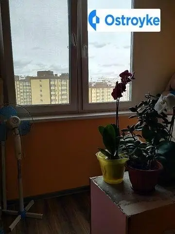 Кармелюка улица — фото 3