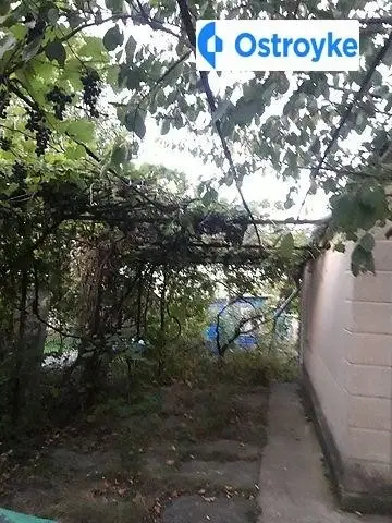 Петрашевского