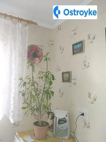 Черняховского улица — фото 3