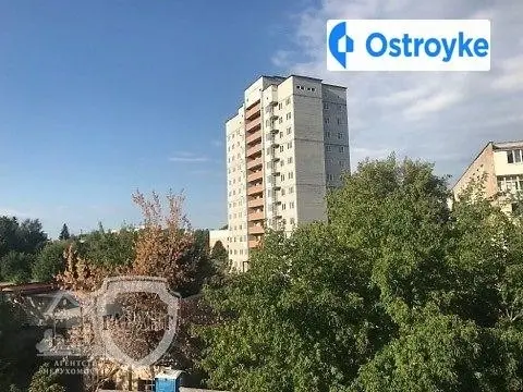терміново — фото 3