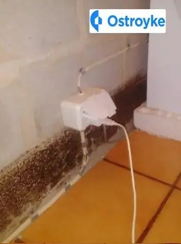 Николая Закревского улица — фото 3