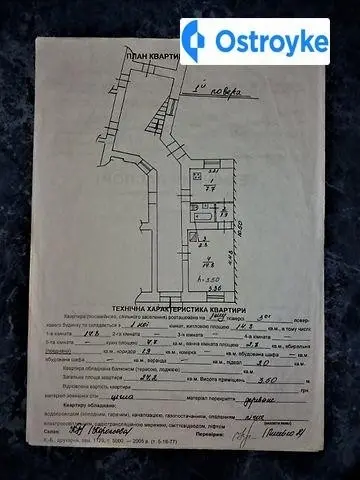 Стародубська — фото 5