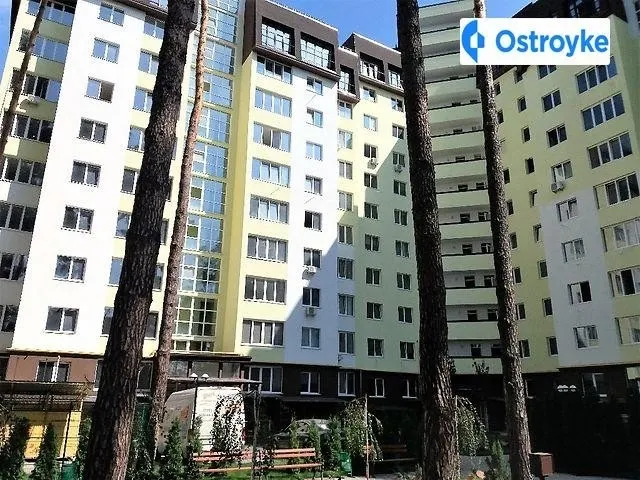 Гостомельское шоссе — фото 1