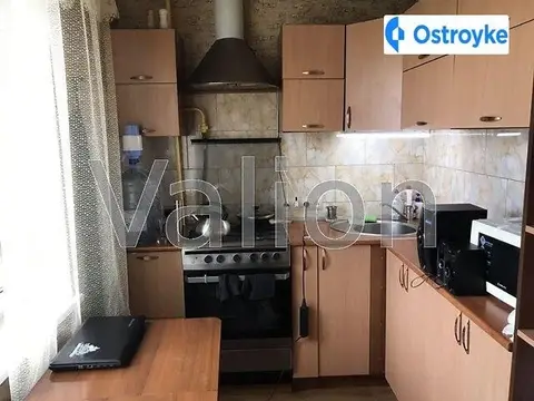 Большая Панасовская ул.