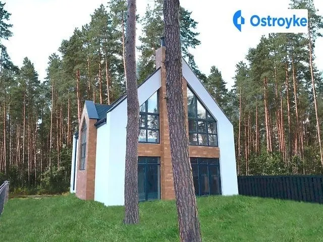 Євгена Патона — фото 1