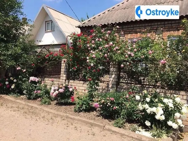 Жмеринська — фото 2