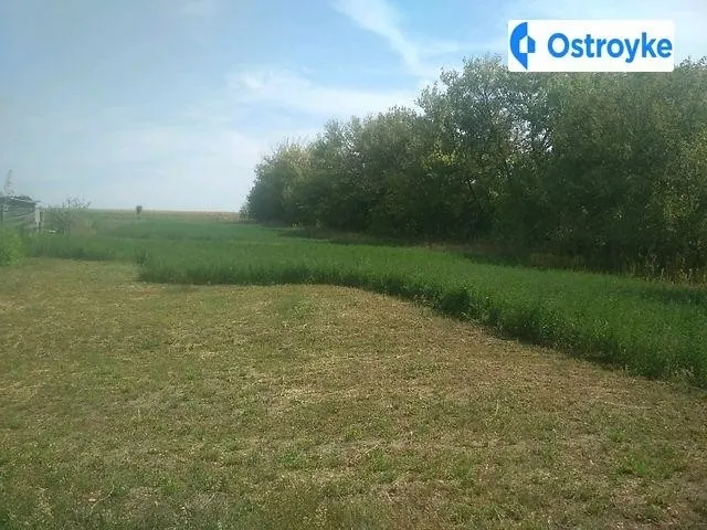 Продаж будинку, 80 м², Монастирище — фото 1
