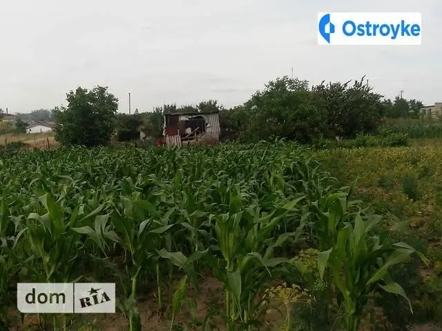 Продаж будинку, 160 м², Очаків — фото 3