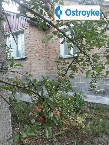 Продаж будинку, 82 м², Полтава — фото 3