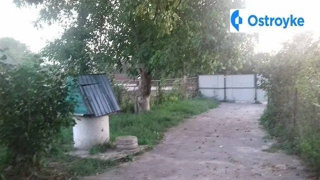 Урожайна — фото 4