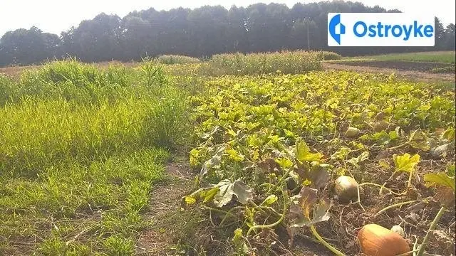 Продаж будинку, 130 м², Калинівка — фото 4