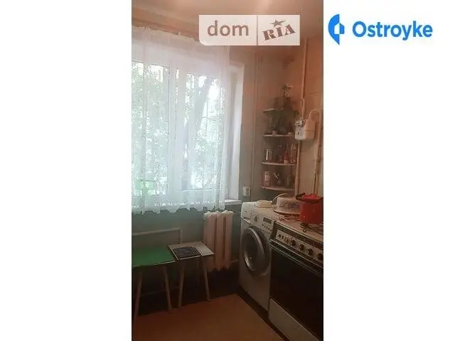 Ивана и Юрия Липы Гайдара — фото 4