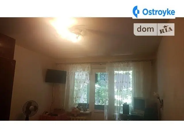 Ивана и Юрия Липы Гайдара — фото 3