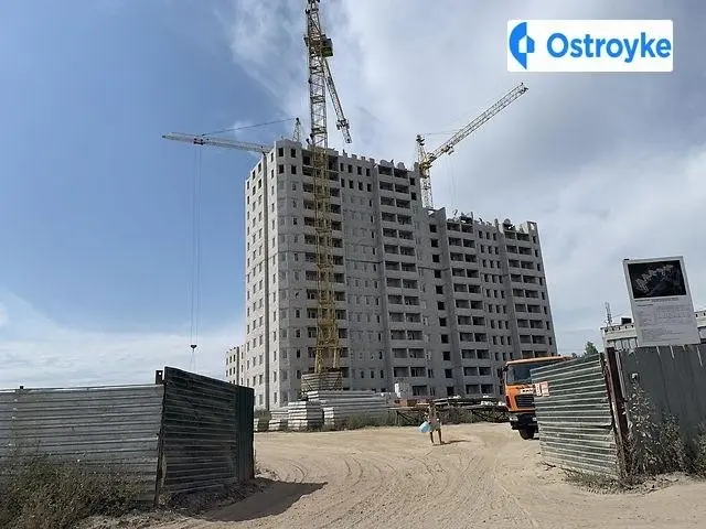 Елизаветинская ул. — фото 4