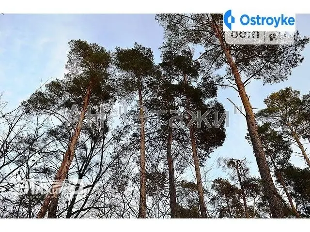 Лысенко ул. — фото 3