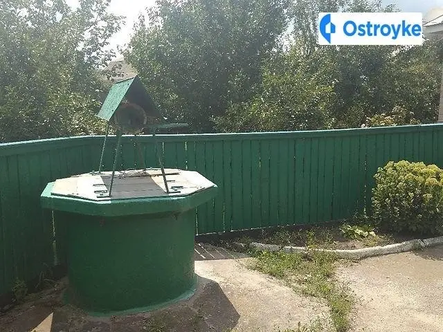 Нарбута — фото 3