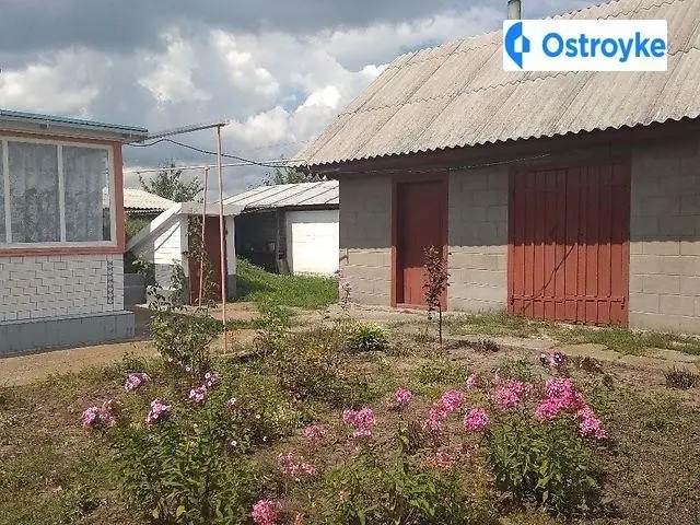 Нарбута — фото 2