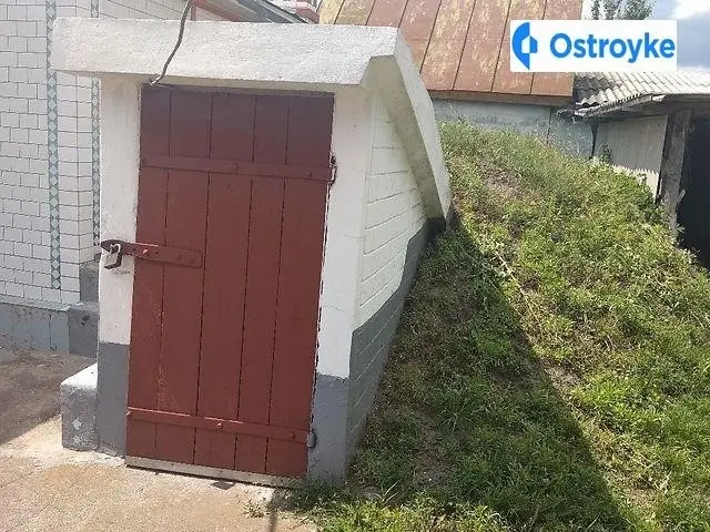 Нарбута — фото 5