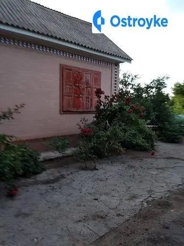 Гагаріна — фото 4