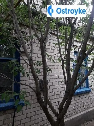 Королюка улица — фото 2