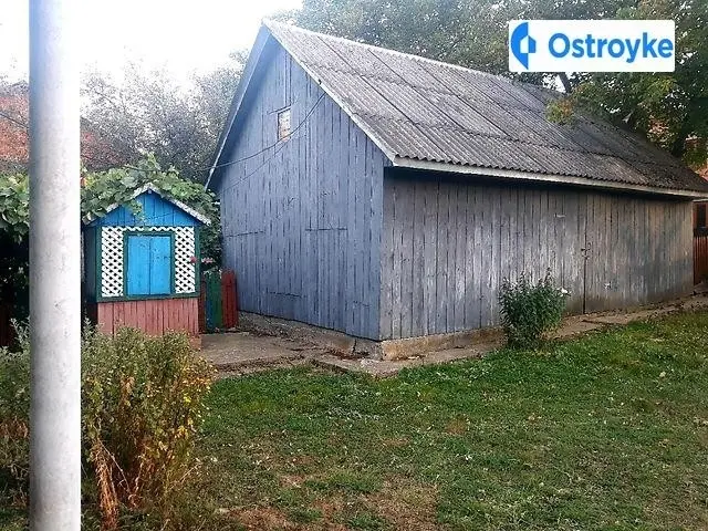 Продаж будинку, 50000 м², Новоселиця — фото 4