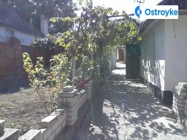 павлова — фото 2