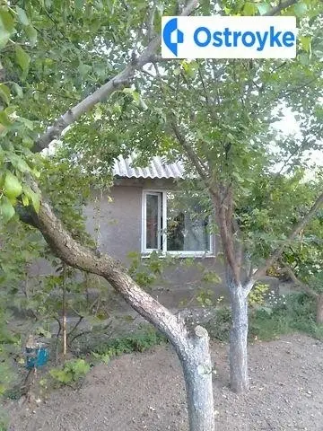 Продаж будинку, 80 м², Василівка — фото 5