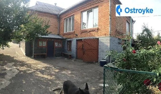 Кривоноса Максима улица — фото 1