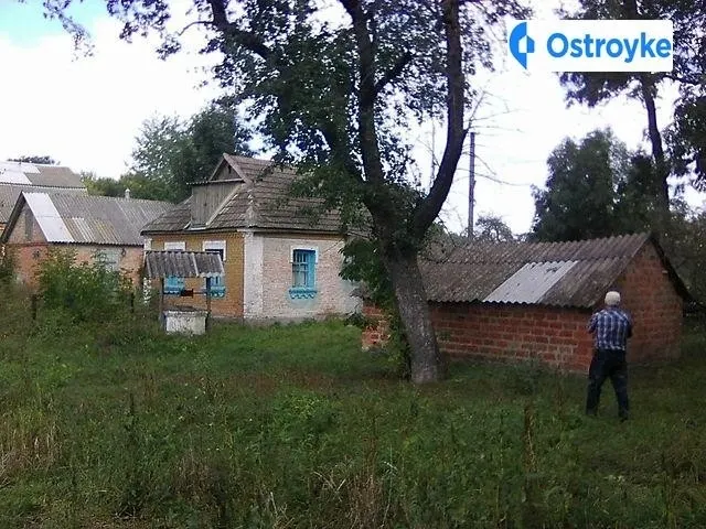 Продаж будинку, 40 м², Липовець — фото 1