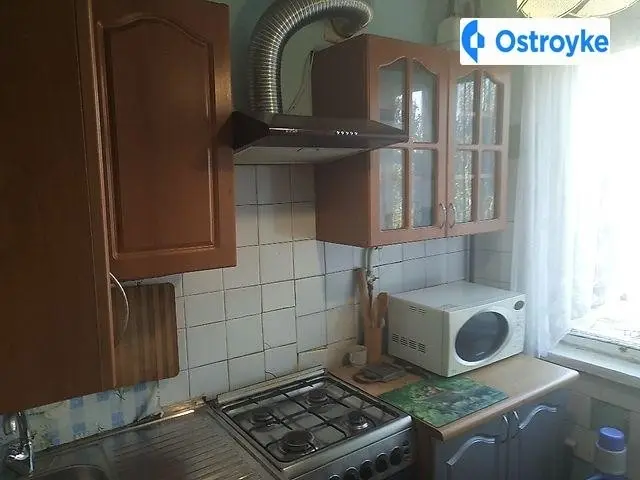 Б.Бердичевская — фото 3