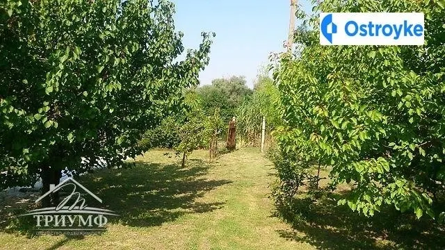 Продаж будинку, 50 м², Херсон — фото 1