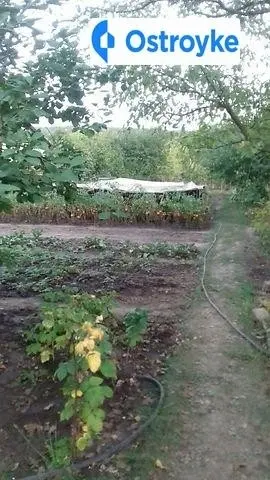Продаж будинку, 30 м², Харків — фото 3