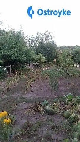 Продаж будинку, 30 м², Харків — фото 4
