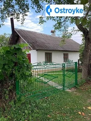 Залізняка — фото 1