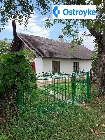Залізняка