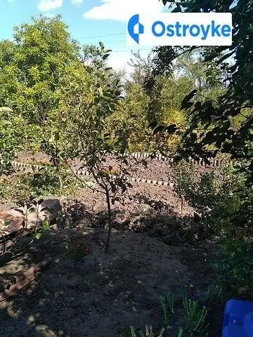 Продаж будинку, 40 м², Новомосковськ — фото 3