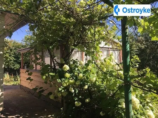 Продаж будинку, 75 м², Вишгород — фото 2