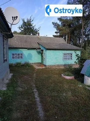 Молодіжна — фото 2