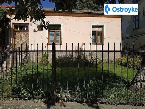 виговського