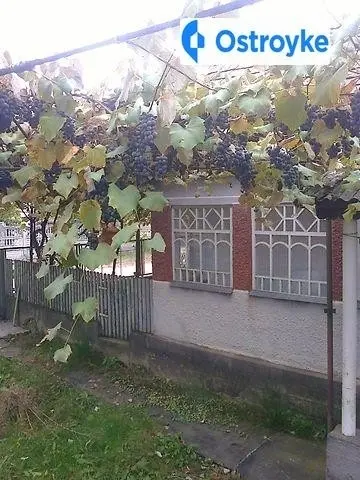 Духовнича — фото 2