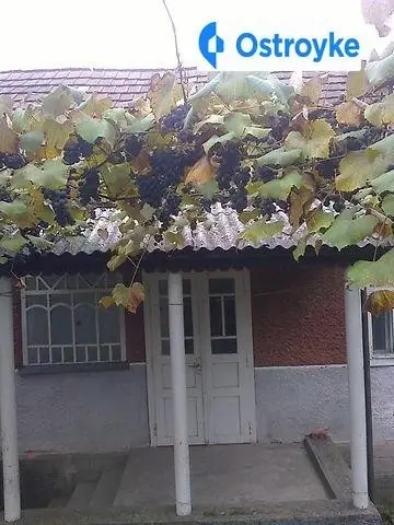 Духовнича